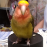 松井英裕 profil fotoğrafı