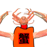まんじゅう profil fotoğrafı