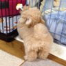 Фото профиля 魔女っ子めいちゃん