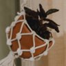 Cloridrato's profile picture