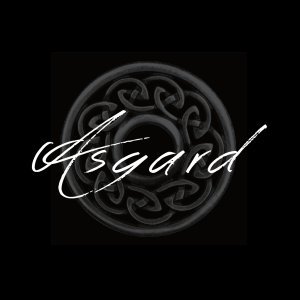 ASGARD_ON's profile picture