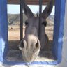 Martillaco's profile picture