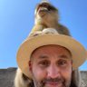 James Needham's profile picture