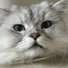 sefs ๐ค๐ช๐ป's profile picture