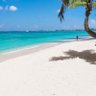 ianonabeach profil fotoğrafı