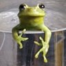 Kiki du bocage 🔻🌿🐝🐢🕊✊🪃 profil fotoğrafı
