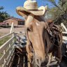 Efren's profile picture