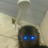 Harry's profile picture