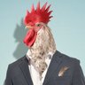 Embaixador da Noção profil fotoğrafı