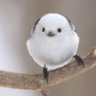 Profilbild von 柊漓