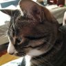 あや profil fotoğrafı