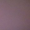 deniz's profile picture