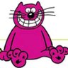 Captain Cat's profile picture
