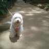 Rocío's profile picture