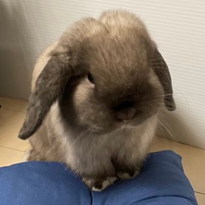 ããã's profile picture