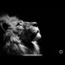 WhySoSerious profil fotoğrafı