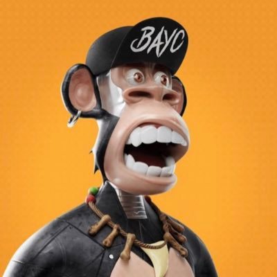 RudyHoekstra's profile picture