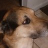 Space's profile picture