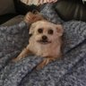 Joyce Priser's profile picture