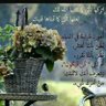 EMAN Al shamary profil fotoğrafı