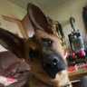 Aivlis's profile picture