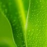Фото профиля phre123