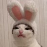 matiasa's profile picture