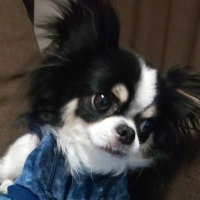 柚子's profile picture
