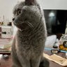 whitehorse56789 的头像