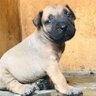 Ademileh698's profile picture