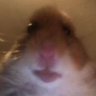 Profilbild von Table_fukr