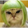 𝓔𝔁𝓹𝓻𝓲𝓶𝓮𝓻......'s profile picture