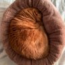 き profil fotoğrafı