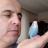 Turhan profil fotoğrafı