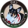 クオンとかいぬし's profile picture