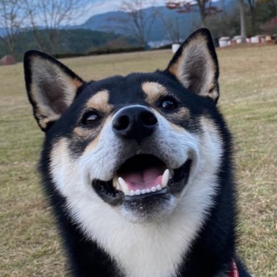 黿ŽâçŠããšçãŸãå€ããã®åŒã倩's profile picture