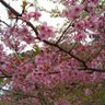 茗閒情 profil fotoğrafı