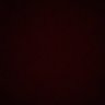 G's profile picture