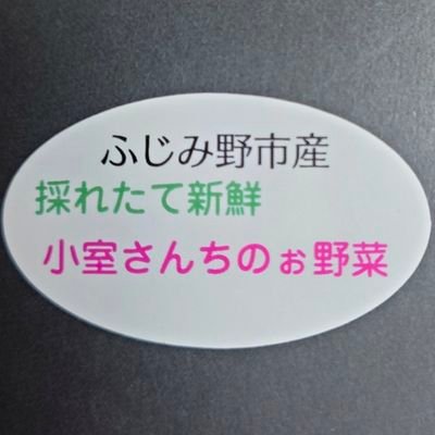 小室さんちのお野菜's profile picture