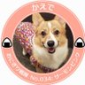 ぶんた's profile picture