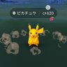 💐ポケっち💐 profil fotoğrafı