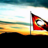 Erzurum Adakçısı's profile picture