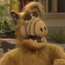 Profilbild von Alf