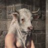 Фото профиля Paul Reid