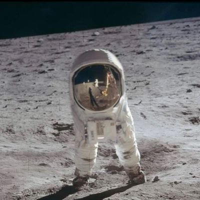 robot_z's profile picture