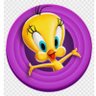 LR profil fotoğrafı