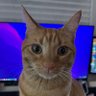 a_non's profile picture