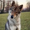 Sioux's profile picture