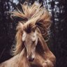 S.B's profile picture