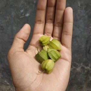endusempak's profile picture